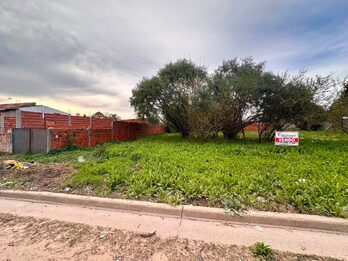 VENDO 3 TERRENOS EN SAN BENITO