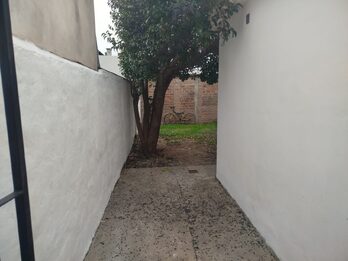 Roque Saenz Peña