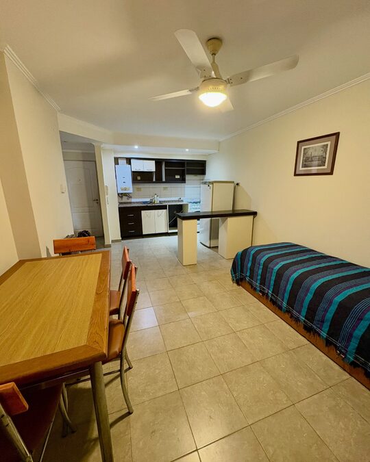 Departamento amoblado de 1 dormitorio
