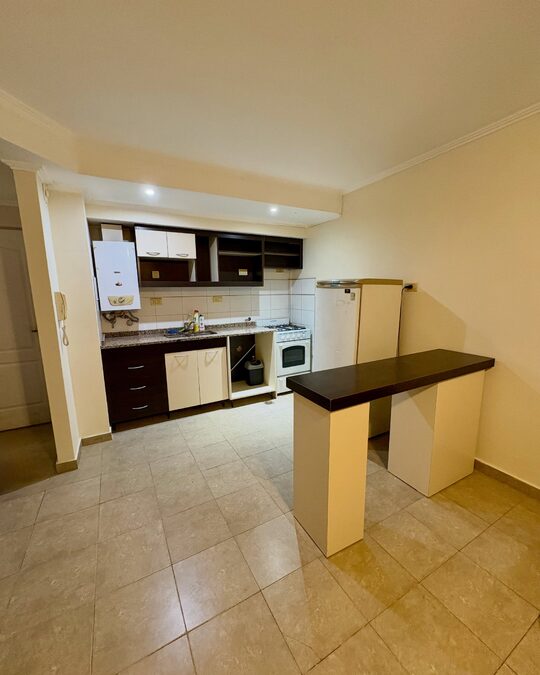 Departamento amoblado de 1 dormitorio