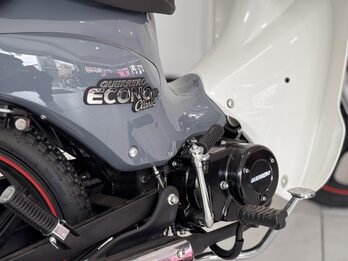 GUERRERO ECONO CLASIC 110