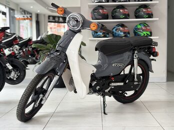 GUERRERO ECONO CLASIC 110