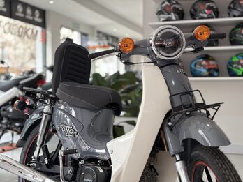 GUERRERO ECONO CLASIC 110