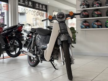 GUERRERO ECONO CLASIC 110