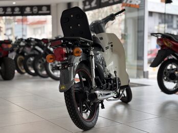 GUERRERO ECONO CLASIC 110