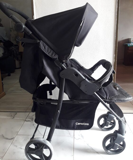 COCHE Y HUEVITO CARESTINO
