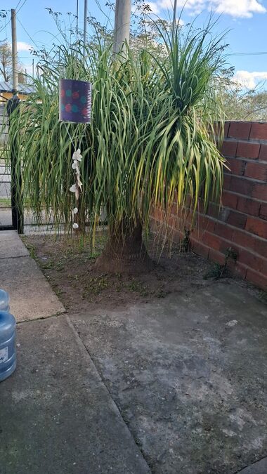 vendo casa