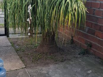 vendo casa