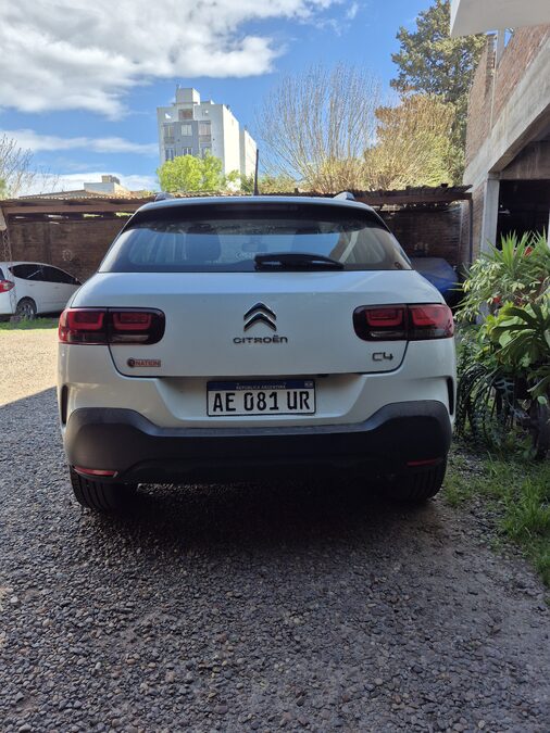 C4 Cactus Vti