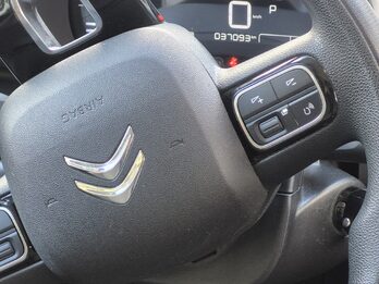 C4 Cactus Vti