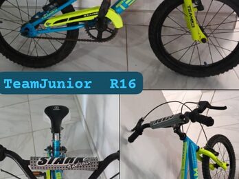 Bicicleta rod 16