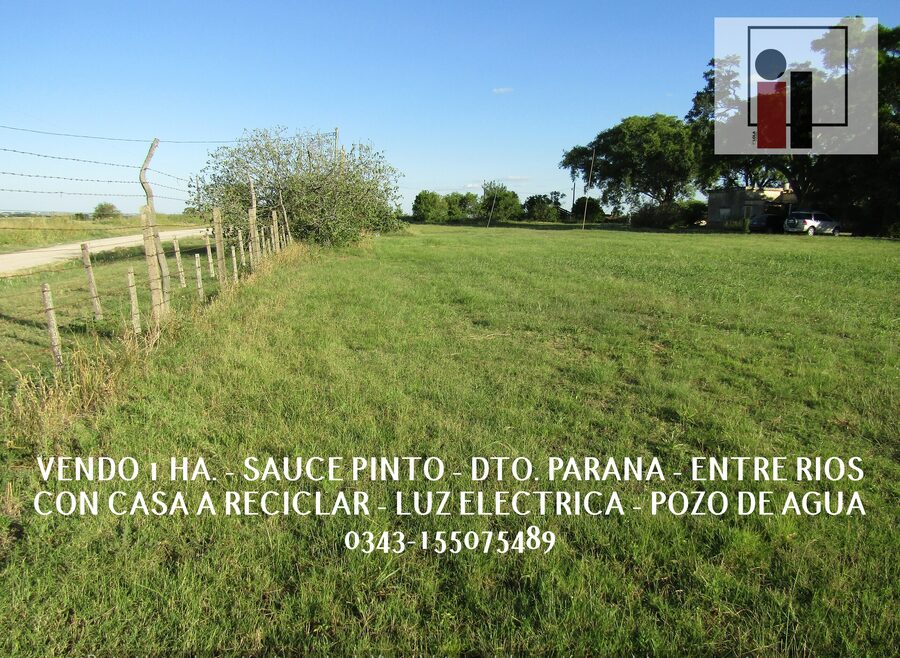 VENDO 1 HECTAREA (10.000M2) EN ZONA RURAL SAUCE PINTO, CON LUZ ELECTRICA