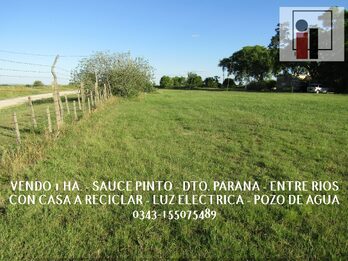 VENDO 1 HECTAREA (10.000M2) EN ZONA RURAL SAUCE PINTO, CON LUZ ELECTRICA