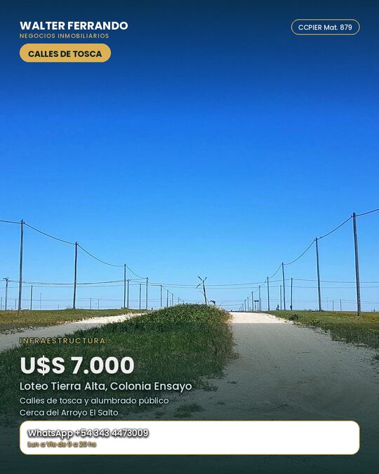 OFERTA LOTE 7000 USS