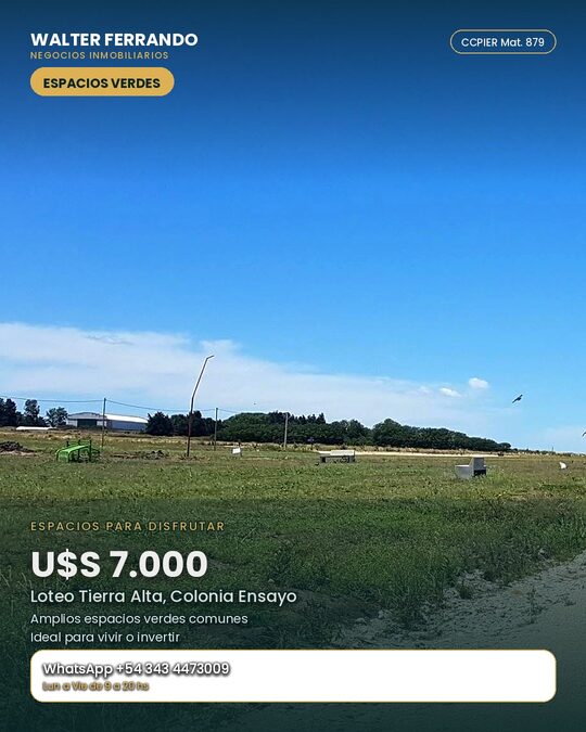 OFERTA LOTE 7000 USS