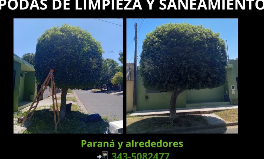 PODA Y DESMALEZADO – CORTE DE CÉSPED Y MANTENIMIENTO | PARANÁ Y ALREDEDORES