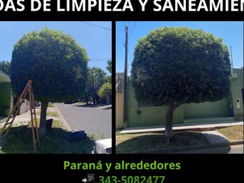 PODA Y DESMALEZADO – CORTE DE CÉSPED Y MANTENIMIENTO | PARANÁ Y ALREDEDORES