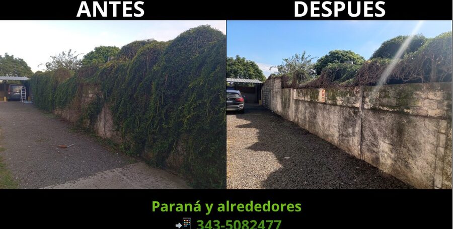 PODA Y DESMALEZADO – CORTE DE CÉSPED Y MANTENIMIENTO | PARANÁ Y ALREDEDORES