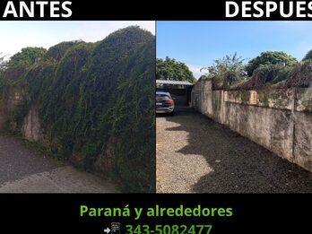 PODA Y DESMALEZADO – CORTE DE CÉSPED Y MANTENIMIENTO | PARANÁ Y ALREDEDORES