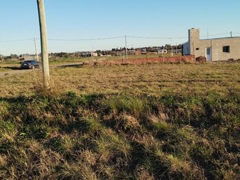 Tierra Alta lote en venta esquina 15 x 30 Colonia Ensayo