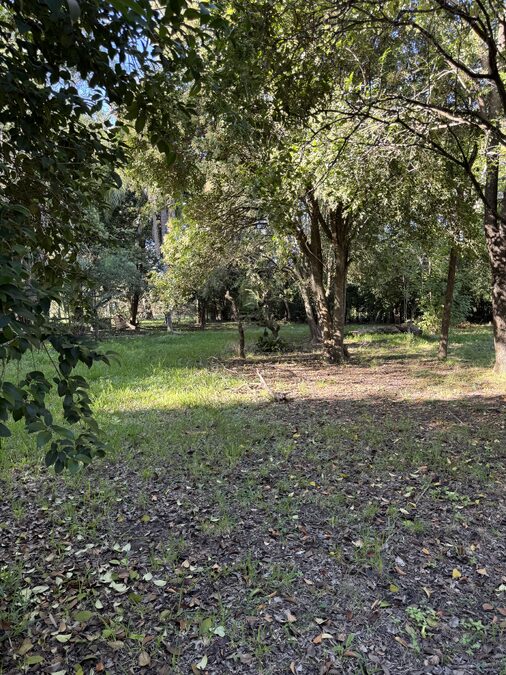 Casa quinta en venta con gran terreno