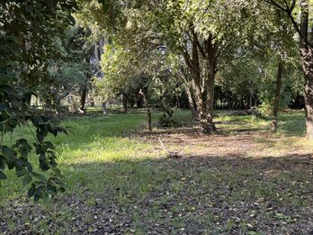 Casa quinta en venta con gran terreno