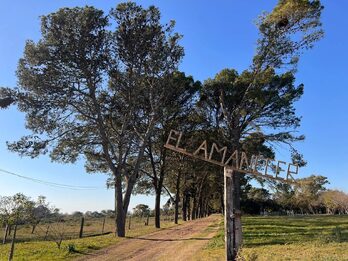 Colonia Ensayo, pasando el INTA - Lote en Venta