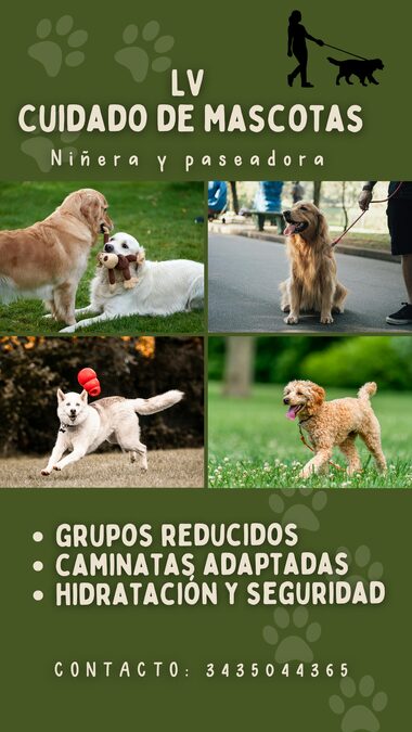 LV Cuidado de Mascotas-Niñera de mascotas a domicilio y paseadora canina