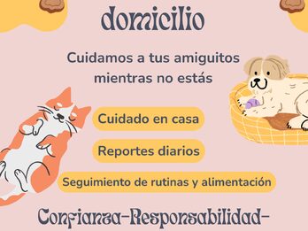 LV Cuidado de Mascotas-Niñera de mascotas a domicilio y paseadora canina