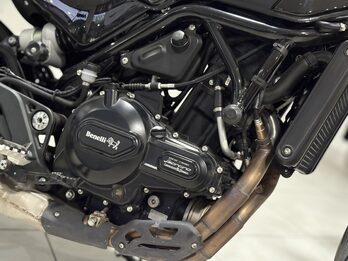 BENELLI LEONCINO 500