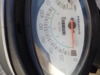 Vendo Guerrero Trip 110 (2022)