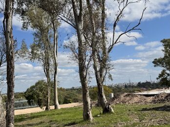 Terreno Urbanizacion Terrazas