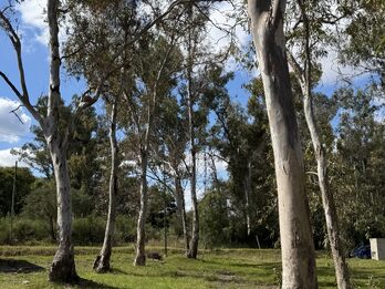 Terreno Urbanizacion Terrazas