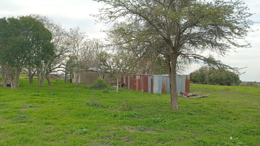 Granja avícola