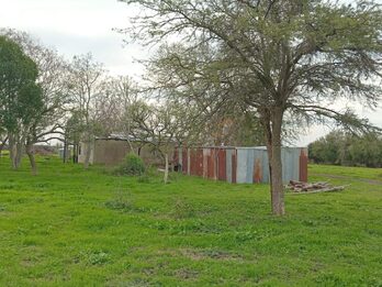 Granja avícola