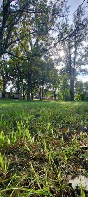 Terreno en venta, 1228 m2, excelente zona