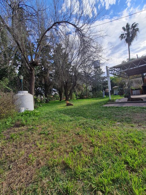 Hermosa casa Quinta completa en S Montrull.