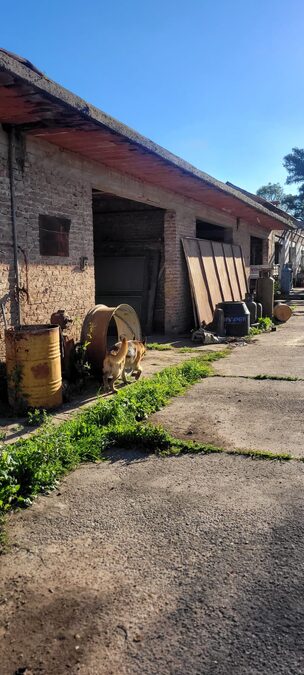 SUBASTA | CASA EN PARANÁ