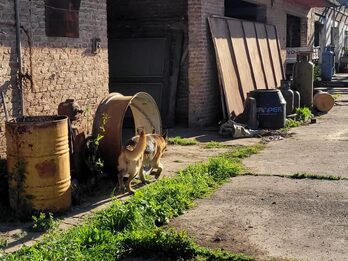 SUBASTA | CASA EN PARANÁ