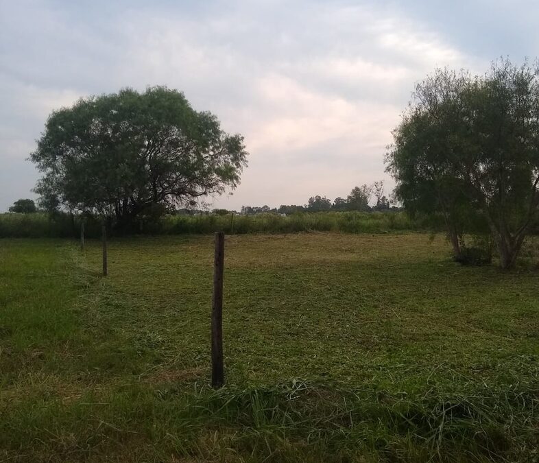 Vendo terreno en Sauce Montrull 450mts2 15x30
