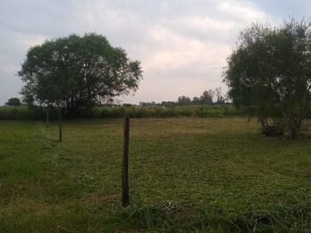 Vendo terreno en Sauce Montrull 450mts2 15x30