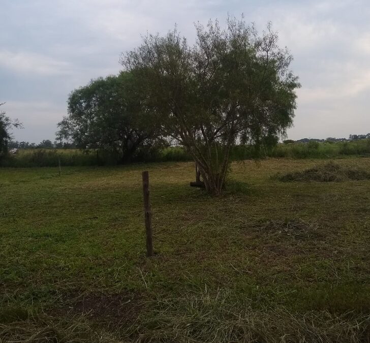 Vendo terreno en Sauce Montrull 450mts2 15x30