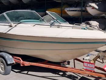 Lancha THOMPSON (USA) 18 pies, 135hp