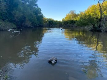 Vendo campo a 50 km de parana