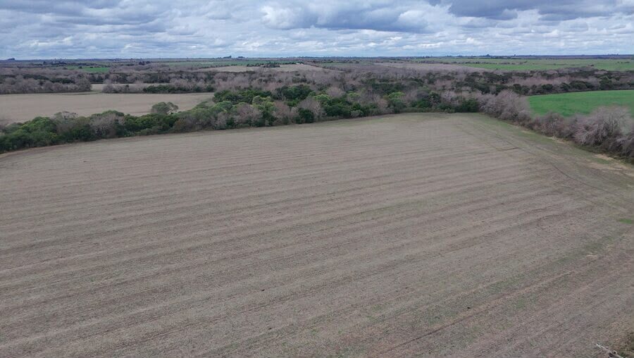 Vendo campo a 50 km de parana
