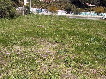 ‼️✅️  TERRENO/LOTE EXCLUSIVO  ACCESO NORTE y LOPEZ JORDAN sobre RUTA🔥🔥