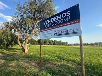 Lotes | Eduardo Tibiletti