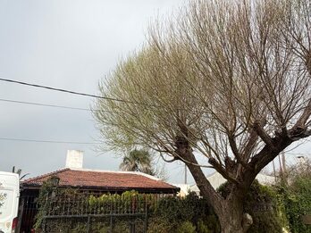 Vendemos Casa Quinta Nuestra Señora de Guadalupe 4026 - R 18