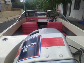 Bermuda Linx - Evinrude 90hp