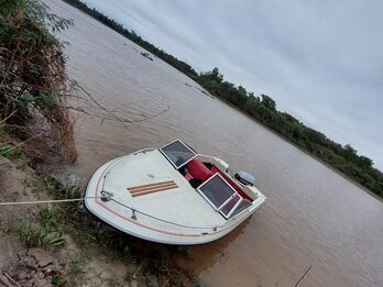 Bermuda Linx - Evinrude 90hp